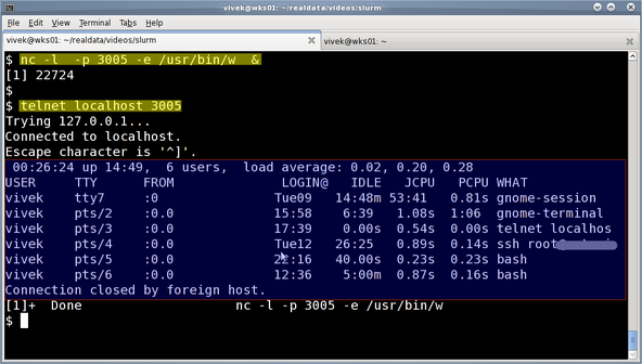 Fig.10: nc server and telnet client in action